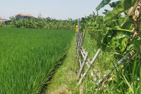 Land in Kuta, Badung, Bali (11529) 5