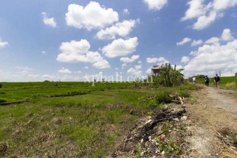 Tanah kavling 535m2 di Cemagi, Mengwi, Badung, Bali (5944) 4