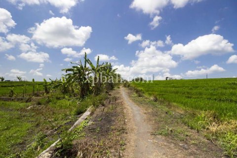 Tanah kavling 535m2 di Cemagi, Mengwi, Badung, Bali (5944) 8