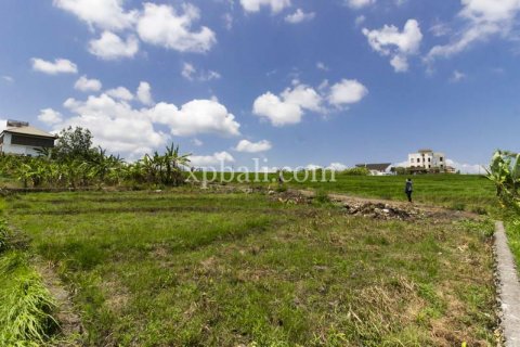 Tanah kavling 535m2 di Cemagi, Mengwi, Badung, Bali (5944) 3