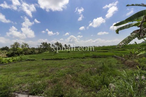 Tanah kavling 535m2 di Cemagi, Mengwi, Badung, Bali (5944) 6