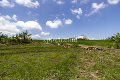 Tanah kavling 535m2 di Cemagi, Mengwi, Badung, Bali (5944)