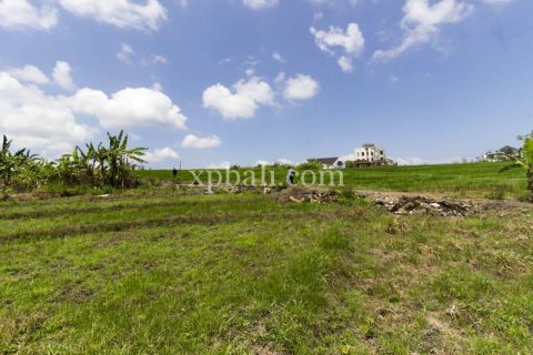 Tanah kavling 535m2 di Cemagi, Mengwi, Badung, Bali (5944) 2