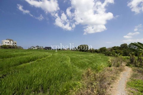 Tanah kavling 535m2 di Cemagi, Mengwi, Badung, Bali (5944) 7
