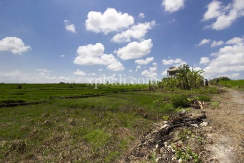 Tanah kavling 535m2 di Cemagi, Mengwi, Badung, Bali (5944) 5