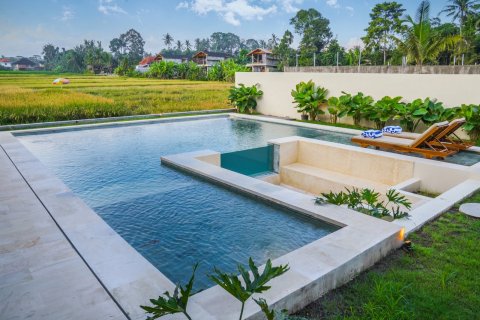 2 bedrooms Villa in Ubud, Gianyar, Bali (14286) 6
