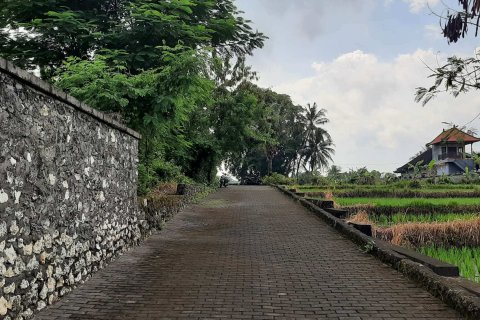 Nyambu - photo 3