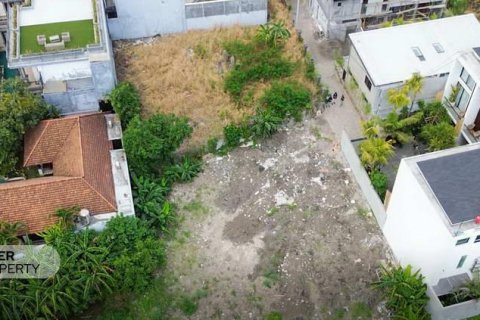 2000m2 Land in Canggu, Badung, Bali (9209) 4