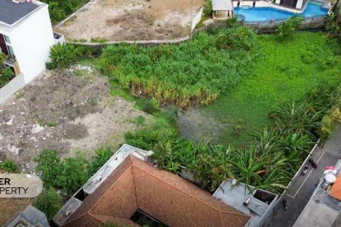 2000m2 Land in Canggu, Badung, Bali (9209) 2