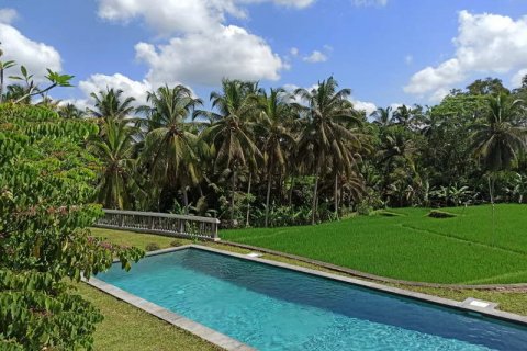 Vila 4 kamar tidur di Tampaksiring, Gianyar, Bali (765)