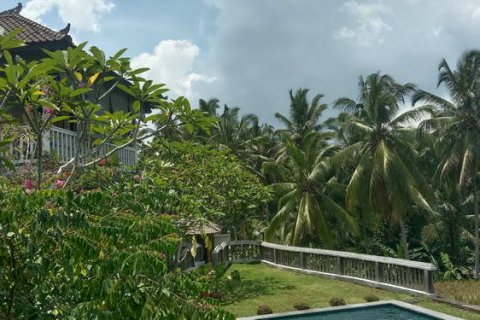 4 bedrooms Villa in Tampaksiring, Gianyar, Bali (765) 8