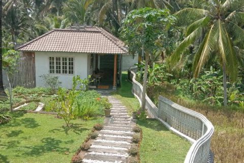 4 bedrooms Villa in Tampaksiring, Gianyar, Bali (765) 7