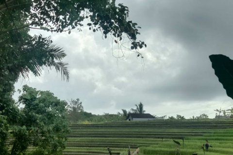 3 bedrooms Villa in Tabanan, Bali (767) 5