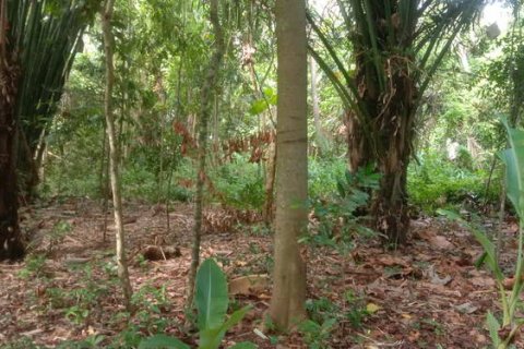 4000m2 Land in Tabanan, Bali (764) 10