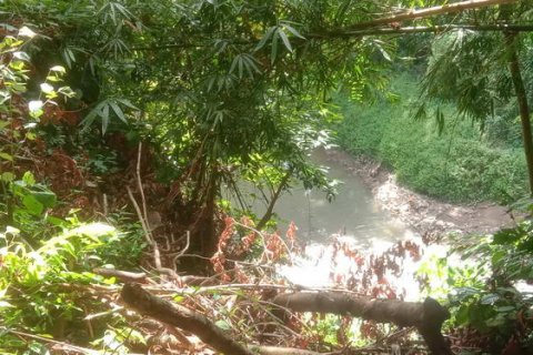 4000m2 Land in Tabanan, Bali (764) 4
