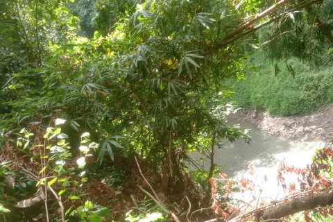 4000m2 Land in Tabanan, Bali (764) 3