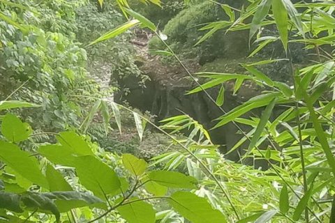 4000m2 Land in Tabanan, Bali (764) 6