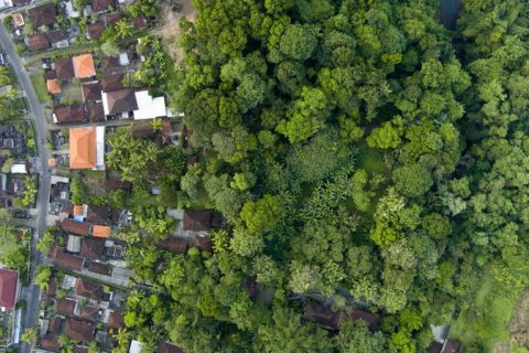 Tanah kavling 4000m2 di Tabanan, Bali (764)