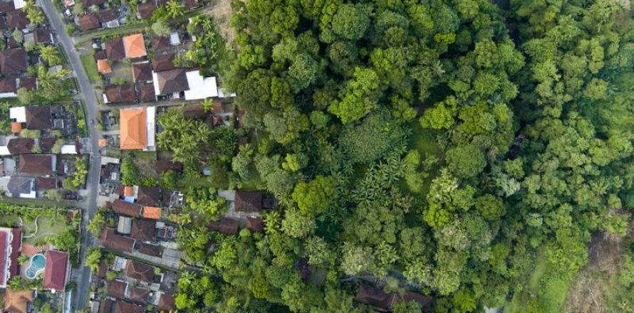 4000m2 Land in Tabanan, Bali (764)
