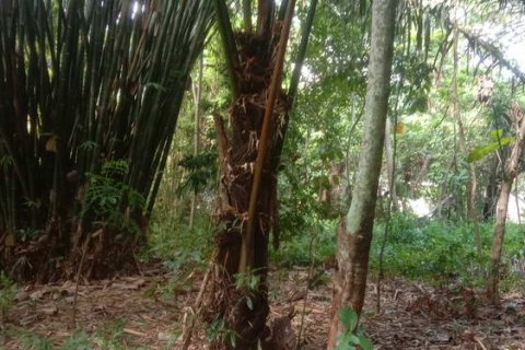 4000m2 Land in Tabanan, Bali (764) 9