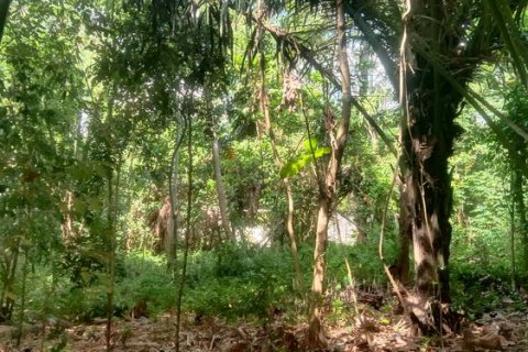 4000m2 Land in Tabanan, Bali (764) 8