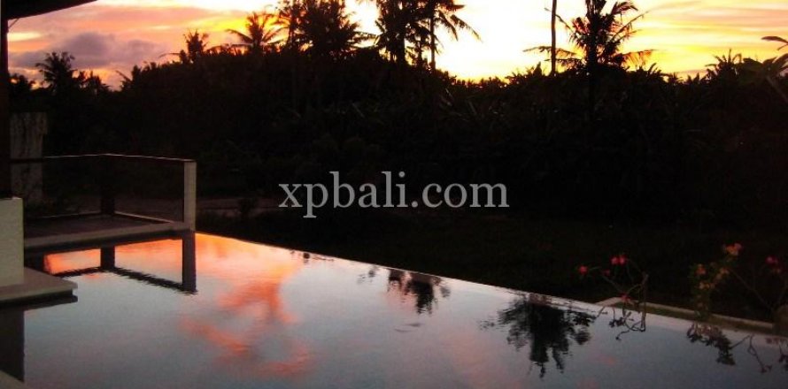 3 bedrooms Villa in Canggu, Badung, Bali (1041)