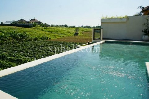 3 bedrooms Villa in Canggu, Badung, Bali (1041) 16