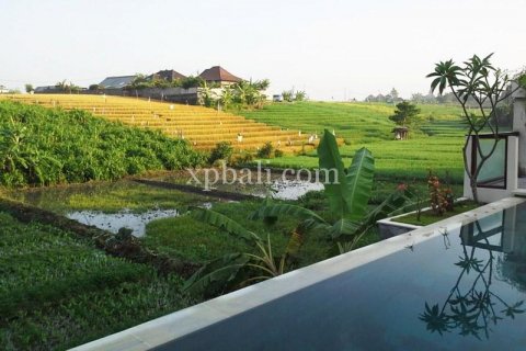 3 bedrooms Villa in Canggu, Badung, Bali (1041) 2