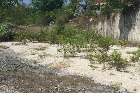 2510m2 Land in South Kuta, Badung, Bali (5977) 3