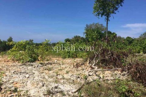 Tanah kavling 1000m2 di Kuta Selatan, Badung, Bali (5978) 6