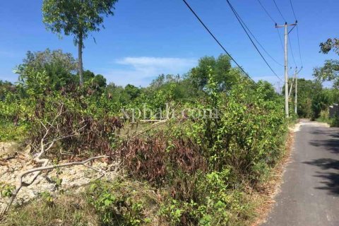 Tanah kavling 1000m2 di Kuta Selatan, Badung, Bali (5978)