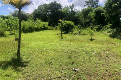 2000m2 Land in South Kuta, Badung, Bali (5880) 7