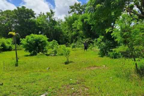 2000m2 Land in South Kuta, Badung, Bali (5880) 13
