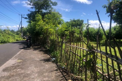 2000m2 Land in South Kuta, Badung, Bali (5880) 6