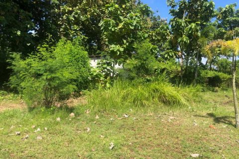 2000m2 Land in South Kuta, Badung, Bali (5880) 9