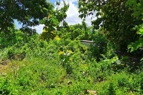 2000m2 Land in South Kuta, Badung, Bali (5880) 11