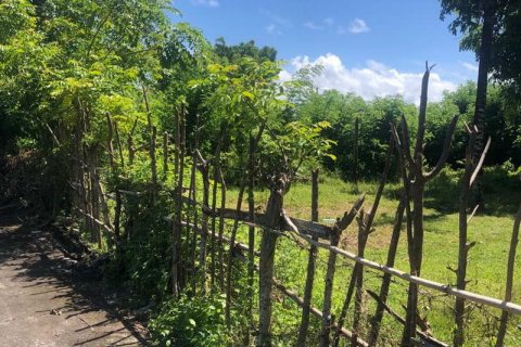 2000m2 Land in South Kuta, Badung, Bali (5880) 5