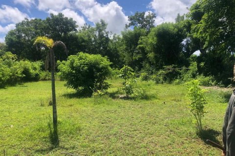 2000m2 Land in South Kuta, Badung, Bali (5880) 2