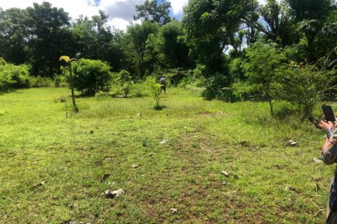 2000m2 Land in South Kuta, Badung, Bali (5880) 3
