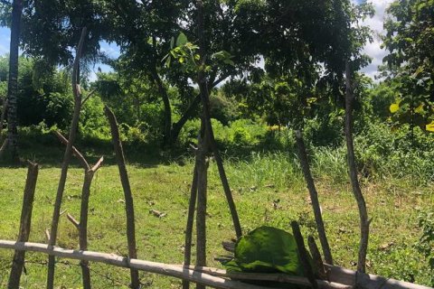 2000m2 Land in South Kuta, Badung, Bali (5880) 8
