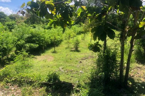 2000m2 Land in South Kuta, Badung, Bali (5880) 10