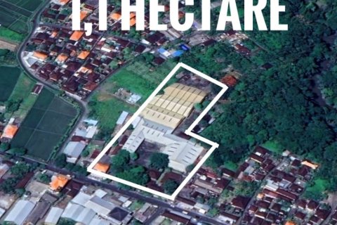 Tanah kavling 5000m2 di Mengwi, Badung, Bali (12173)