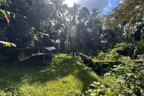 Tanah kavling di Tegallalang, Gianyar, Bali (11703)