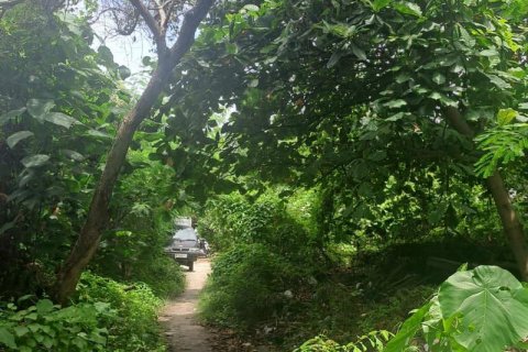 3248m2 Land in Canggu, Badung, Bali (9843) 6