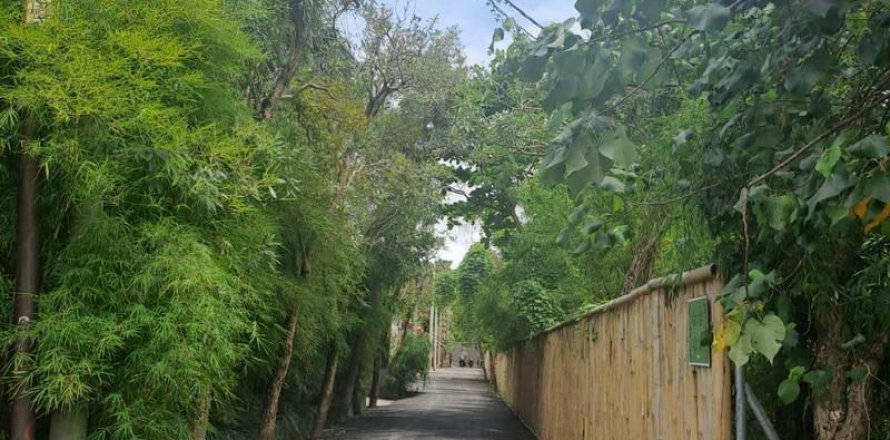 1080m2 Land in Canggu, Badung, Bali (9842)