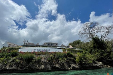 Land in Klungkung, Bali (12251) 8