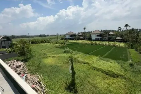 Land in Kediri, Tabanan, Bali (11359) 3