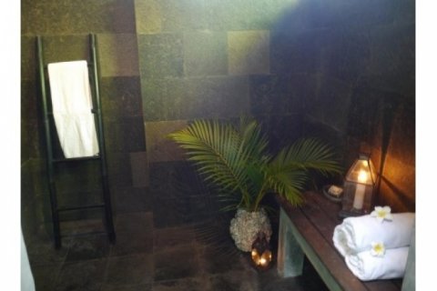 4 bedrooms Villa in Seminyak, Badung, Bali (1872) 14