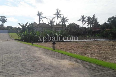 2598m2 Land in Gianyar, Bali (904) 5