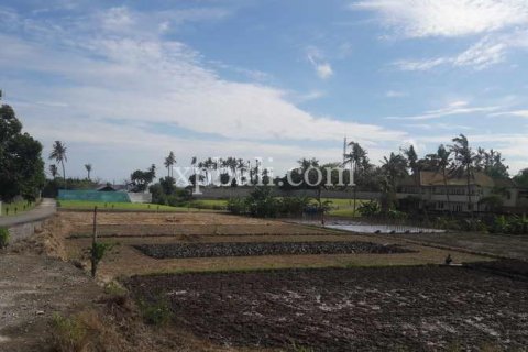 2598m2 Land in Gianyar, Bali (904) 6
